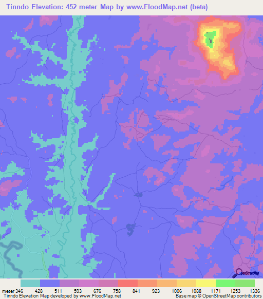 Tinndo,Guinea Elevation Map