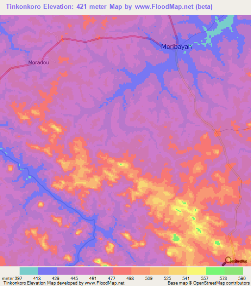 Tinkonkoro,Guinea Elevation Map