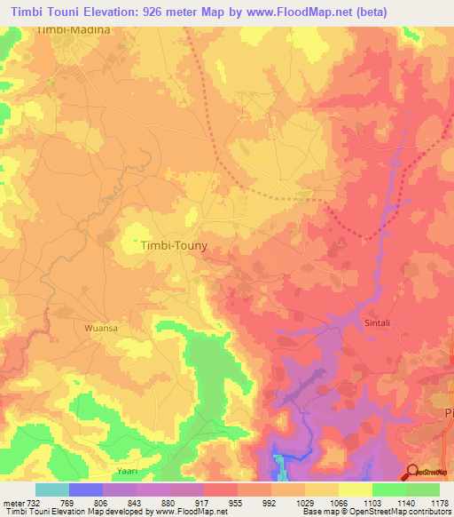 Timbi Touni,Guinea Elevation Map