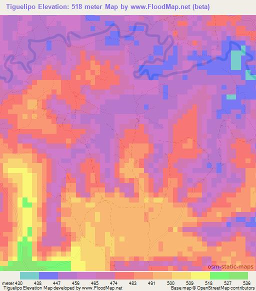 Tiguelipo,Guinea Elevation Map