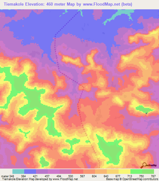 Tiemakole,Guinea Elevation Map