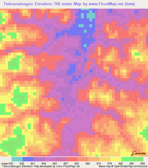 Tiekouradougou,Guinea Elevation Map