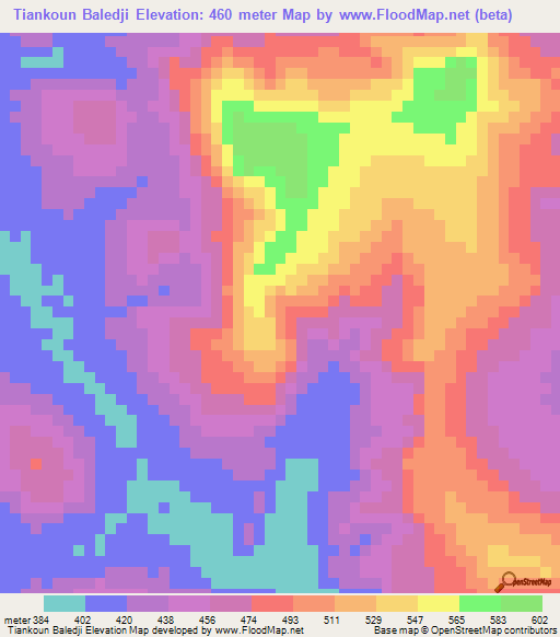 Tiankoun Baledji,Guinea Elevation Map