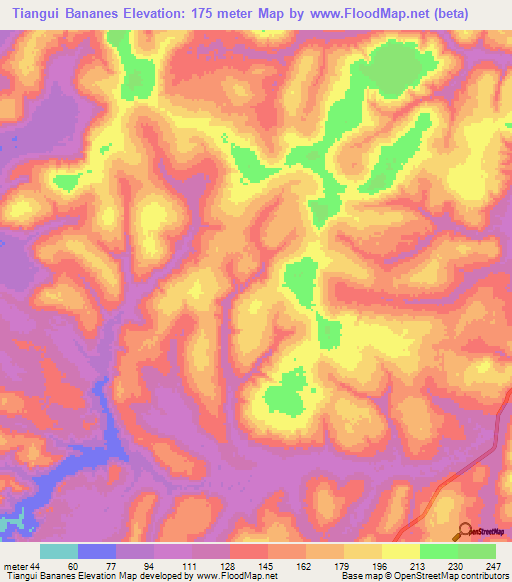 Tiangui Bananes,Guinea Elevation Map