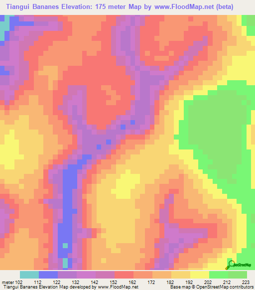 Tiangui Bananes,Guinea Elevation Map