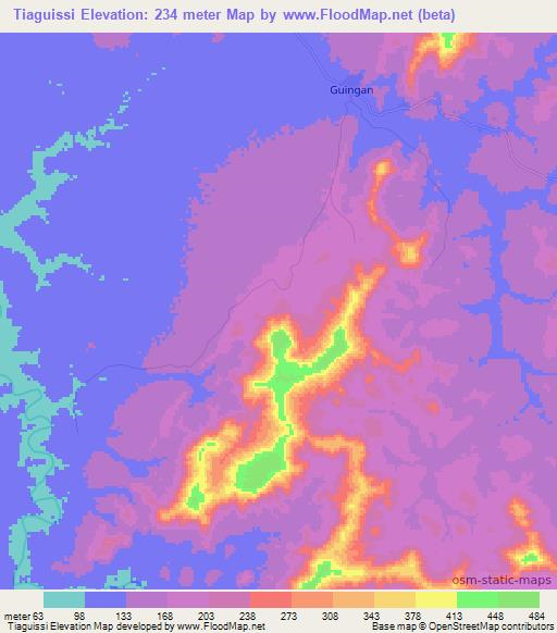 Tiaguissi,Guinea Elevation Map