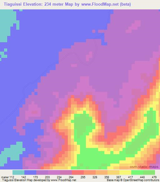 Tiaguissi,Guinea Elevation Map