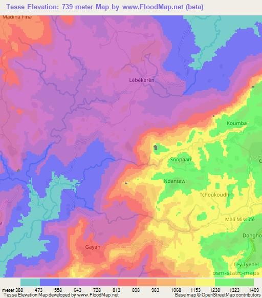 Tesse,Guinea Elevation Map