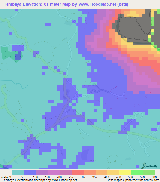 Tembaya,Guinea Elevation Map