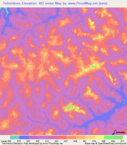 Telininkoro,Guinea Elevation Map