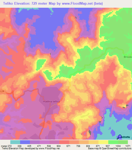 Teliko,Guinea Elevation Map