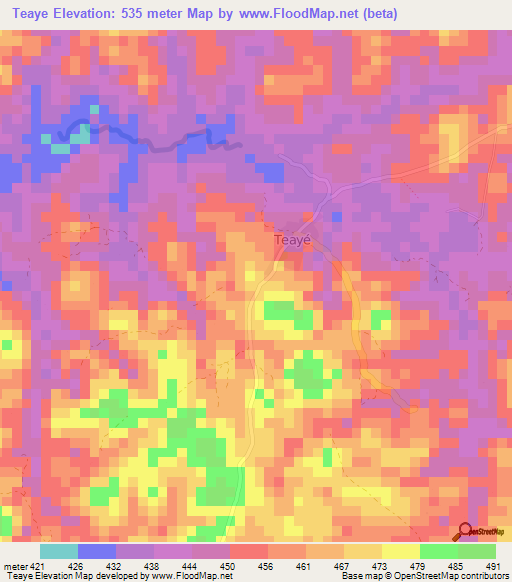 Teaye,Guinea Elevation Map