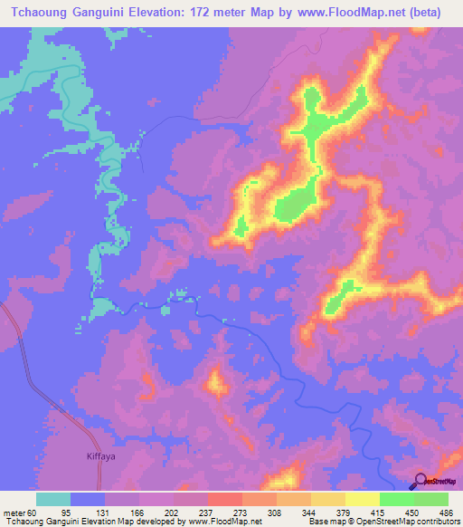 Tchaoung Ganguini,Guinea Elevation Map