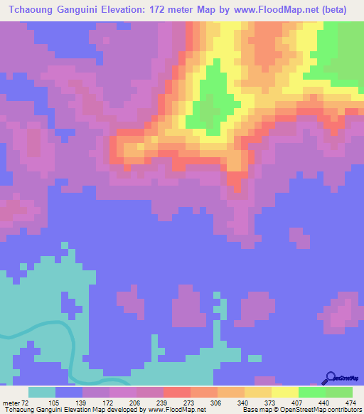 Tchaoung Ganguini,Guinea Elevation Map