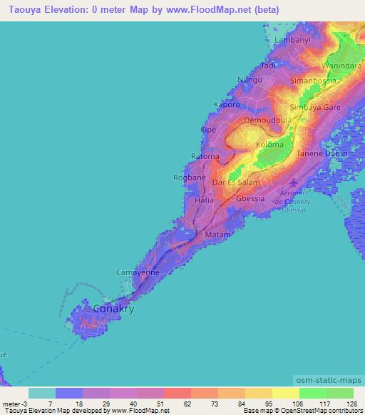 Taouya,Guinea Elevation Map