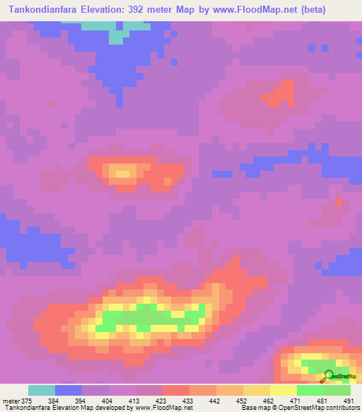 Tankondianfara,Guinea Elevation Map