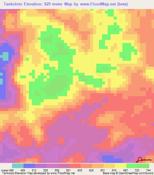 Tankoloto,Guinea Elevation Map