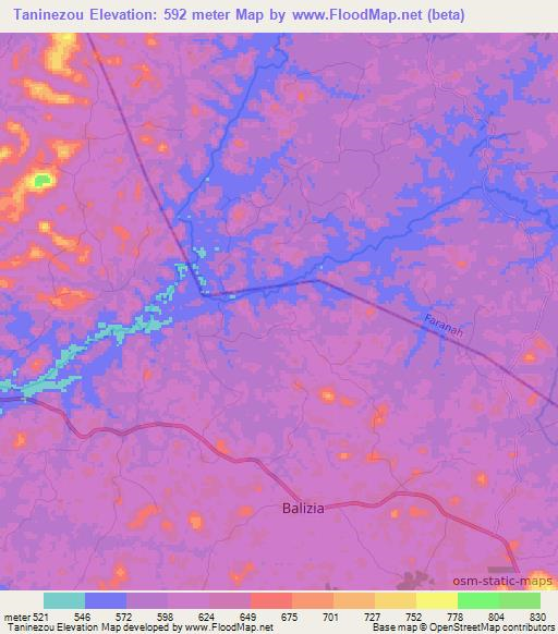 Taninezou,Guinea Elevation Map