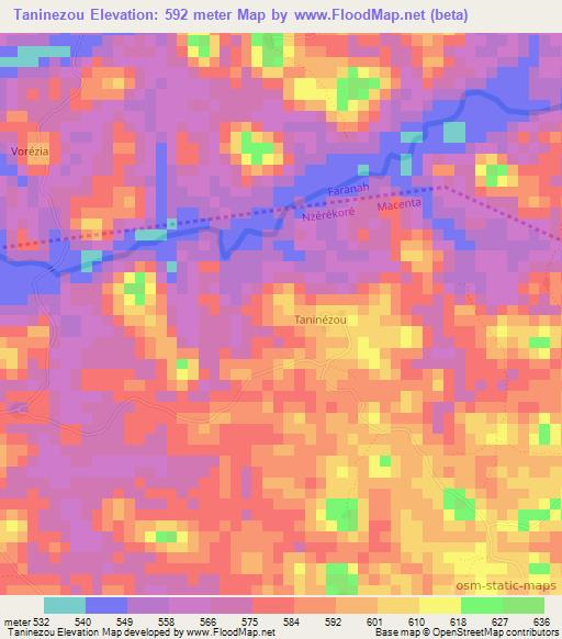 Taninezou,Guinea Elevation Map