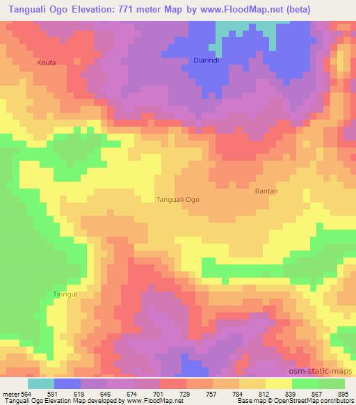 Tanguali Ogo,Guinea Elevation Map