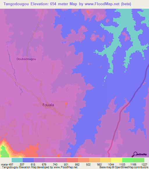 Tangodougou,Guinea Elevation Map