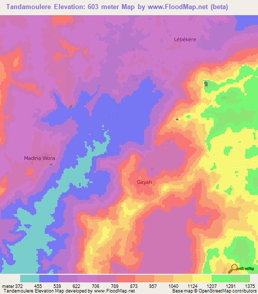 Tandamoulere,Guinea Elevation Map