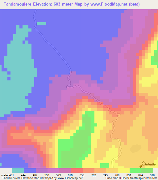 Tandamoulere,Guinea Elevation Map