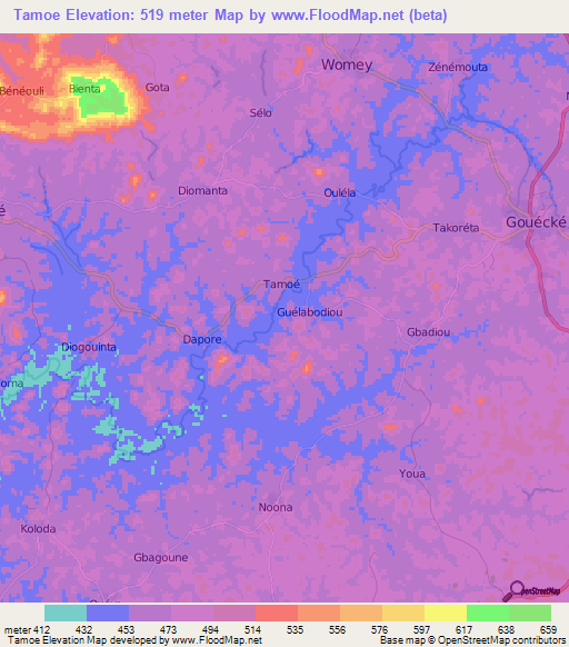 Tamoe,Guinea Elevation Map