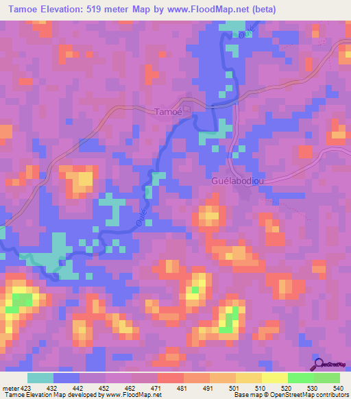 Tamoe,Guinea Elevation Map