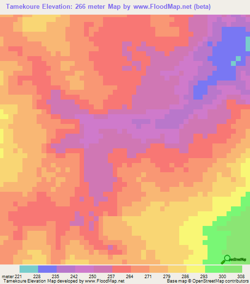 Tamekoure,Guinea Elevation Map