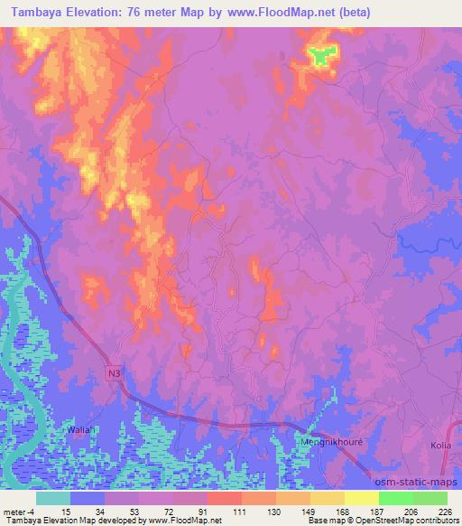 Tambaya,Guinea Elevation Map