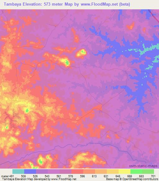 Tambaya,Guinea Elevation Map