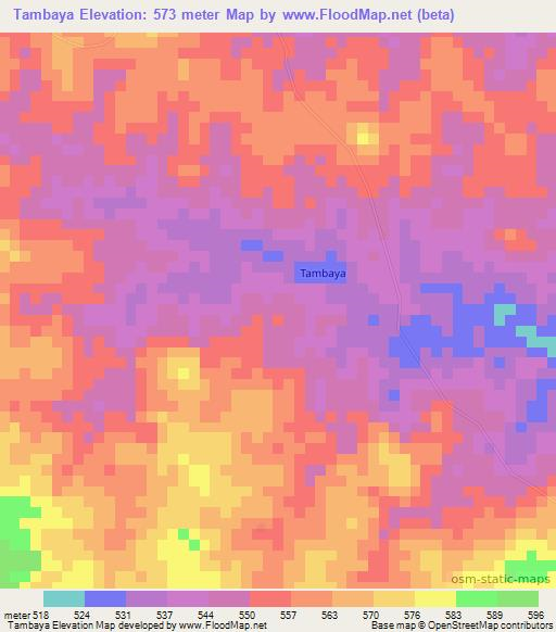 Tambaya,Guinea Elevation Map