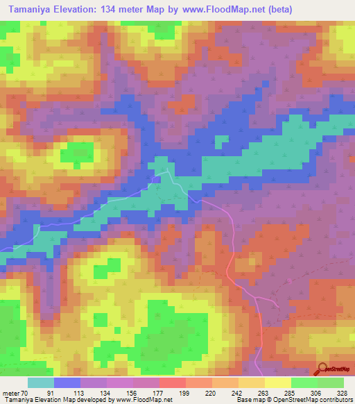 Tamaniya,Guinea Elevation Map