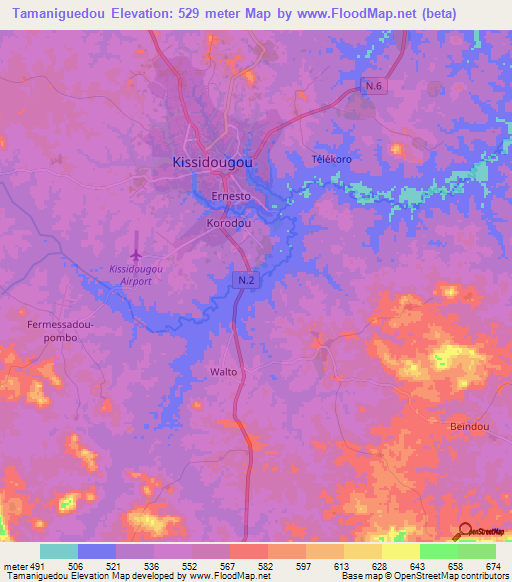 Tamaniguedou,Guinea Elevation Map