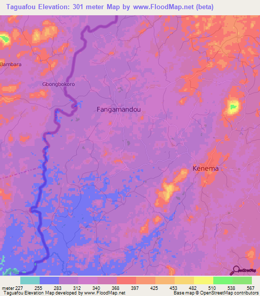 Taguafou,Guinea Elevation Map