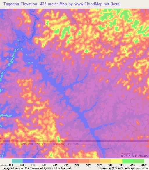 Tagagna,Guinea Elevation Map