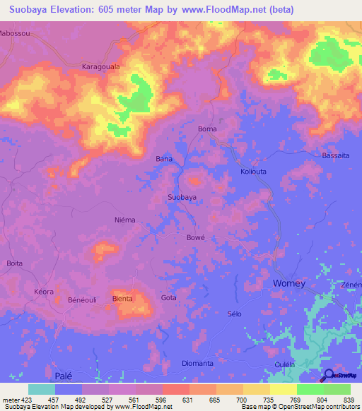 Suobaya,Guinea Elevation Map
