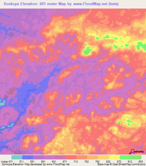 Sonkoya,Guinea Elevation Map