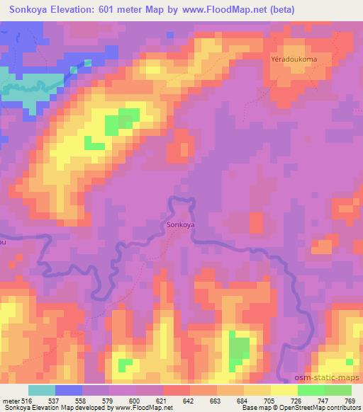 Sonkoya,Guinea Elevation Map