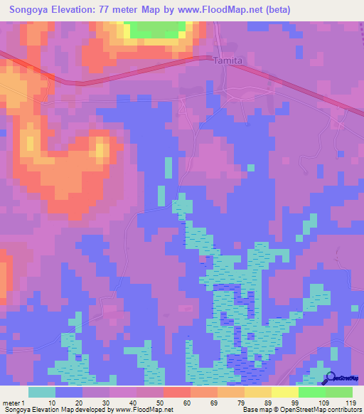 Songoya,Guinea Elevation Map