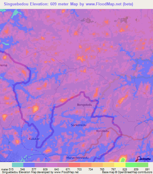 Singuebedou,Guinea Elevation Map