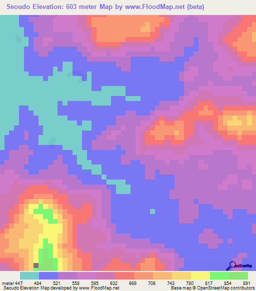 Seoudo,Guinea Elevation Map