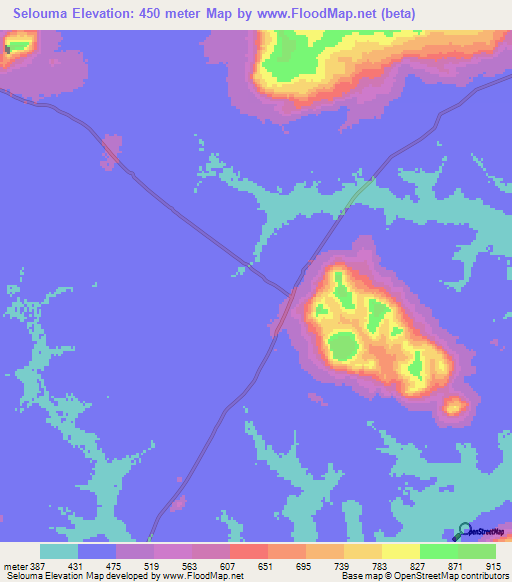 Selouma,Guinea Elevation Map