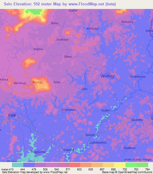 Selo,Guinea Elevation Map