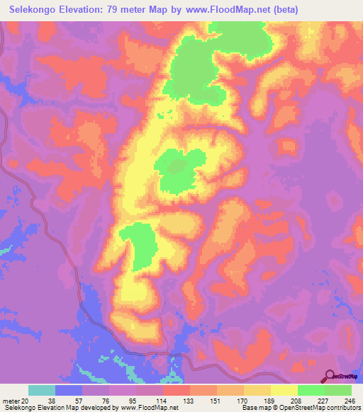 Selekongo,Guinea Elevation Map