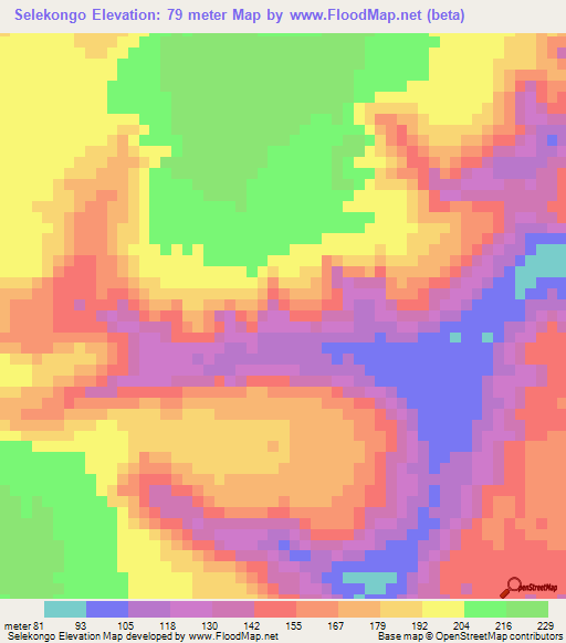 Selekongo,Guinea Elevation Map