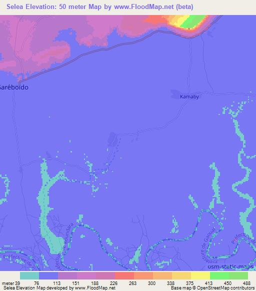 Selea,Guinea Elevation Map