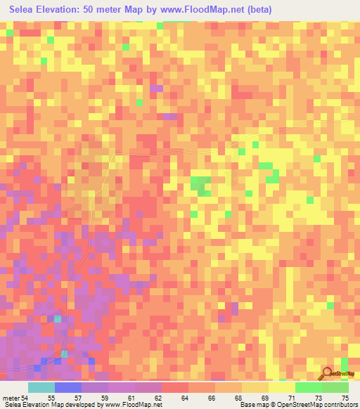 Selea,Guinea Elevation Map