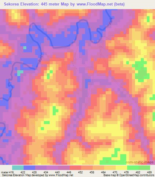 Sekorea,Guinea Elevation Map